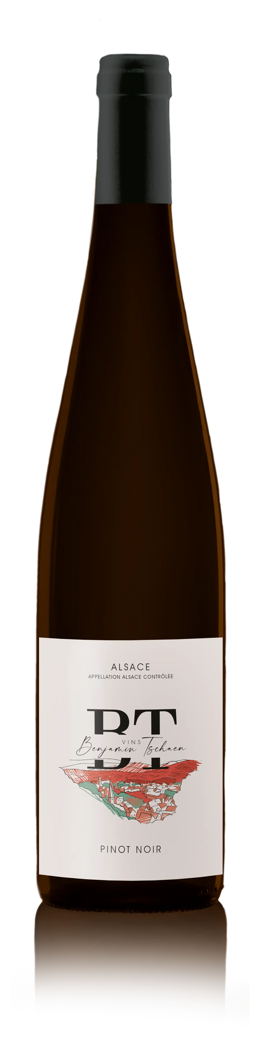 Pinot noir 2024